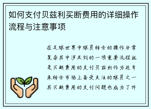 如何支付贝兹利买断费用的详细操作流程与注意事项