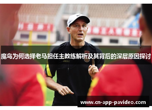 魔鸟为何选择老马担任主教练解析及其背后的深层原因探讨