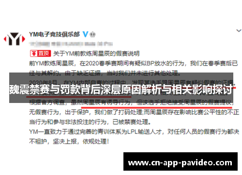 魏震禁赛与罚款背后深层原因解析与相关影响探讨 魏震禁赛与罚款背后深层原因解析与相关影响探讨