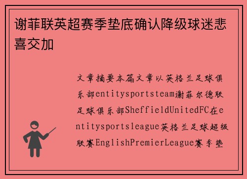 谢菲联英超赛季垫底确认降级球迷悲喜交加